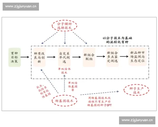基于剧本创编技巧的规范化格式构建与应用实践体系优化策略研究